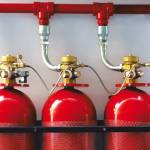 alsafisafety profile picture