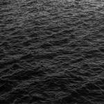 John Michel Profile Picture