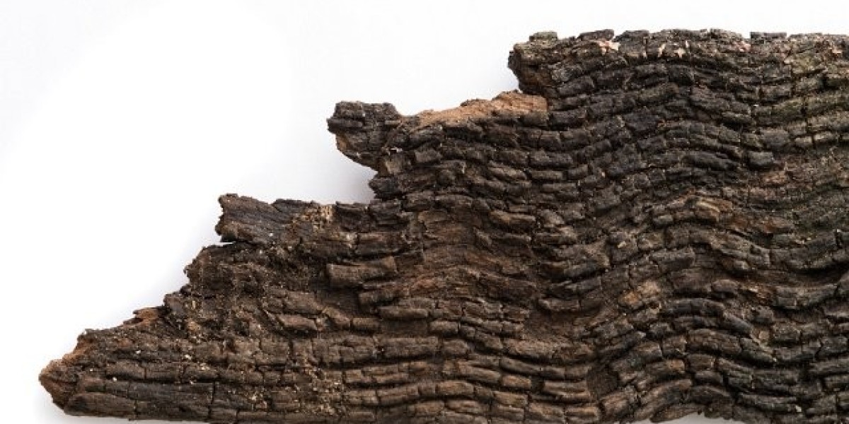 Best Online Casino for Slots, Bonuses & Live Games