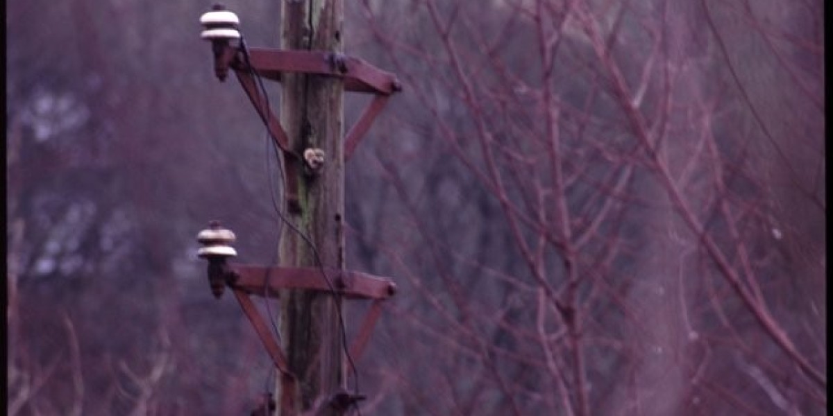 Treasury Casino & Hotel Review 2025 Top Guide, Info + Stats