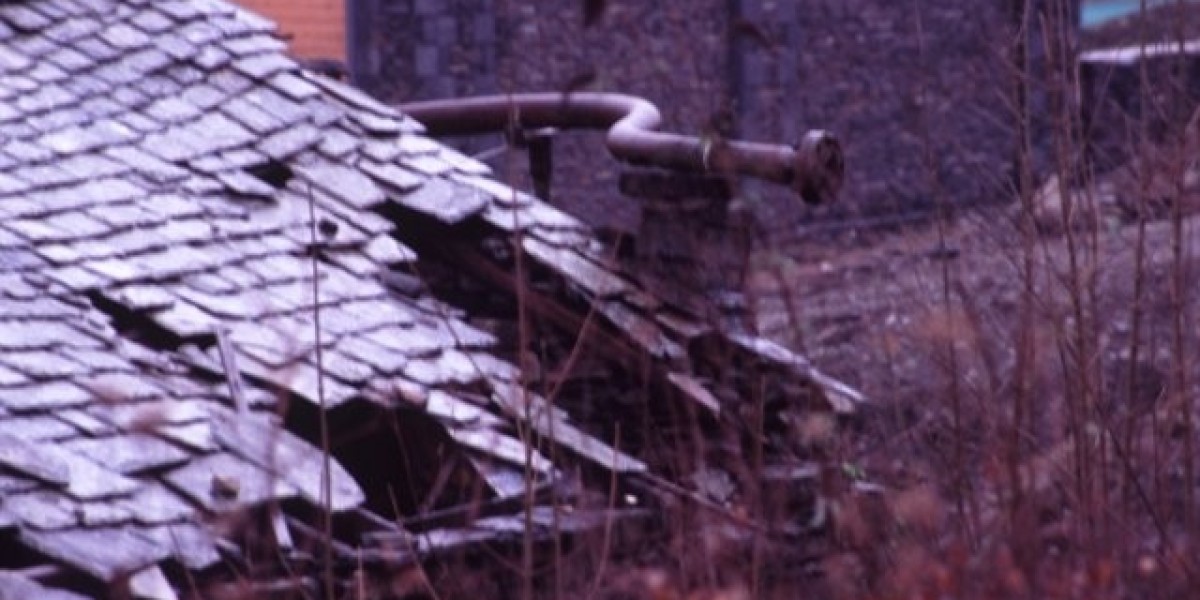 Meet the People Behind the Play