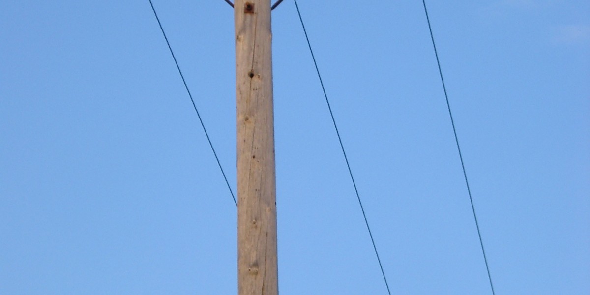 Adelaide Casino, Adelaide Roadtrippers