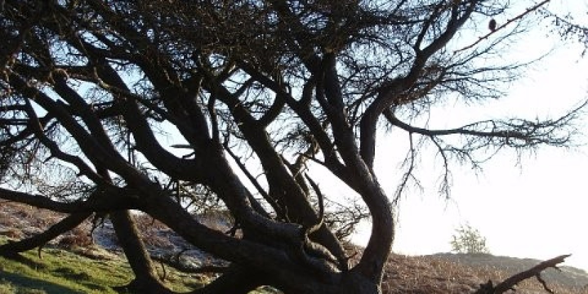 Gold Coast Casino Everything To Know Before A Visit